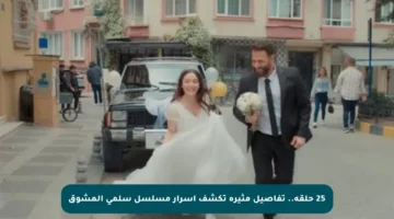 25 حلقة.. تفاصيل مثيرة تكشف أسرار مسلسل سلمى المشوق